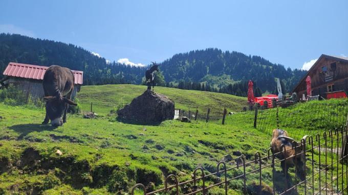 Jausenstation Neuschwand Villa Хитизау Екстериор снимка