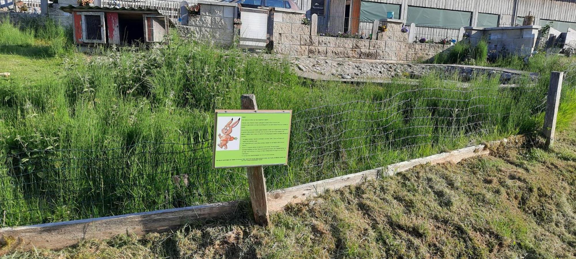 Jausenstation Neuschwand Villa Хитизау Екстериор снимка