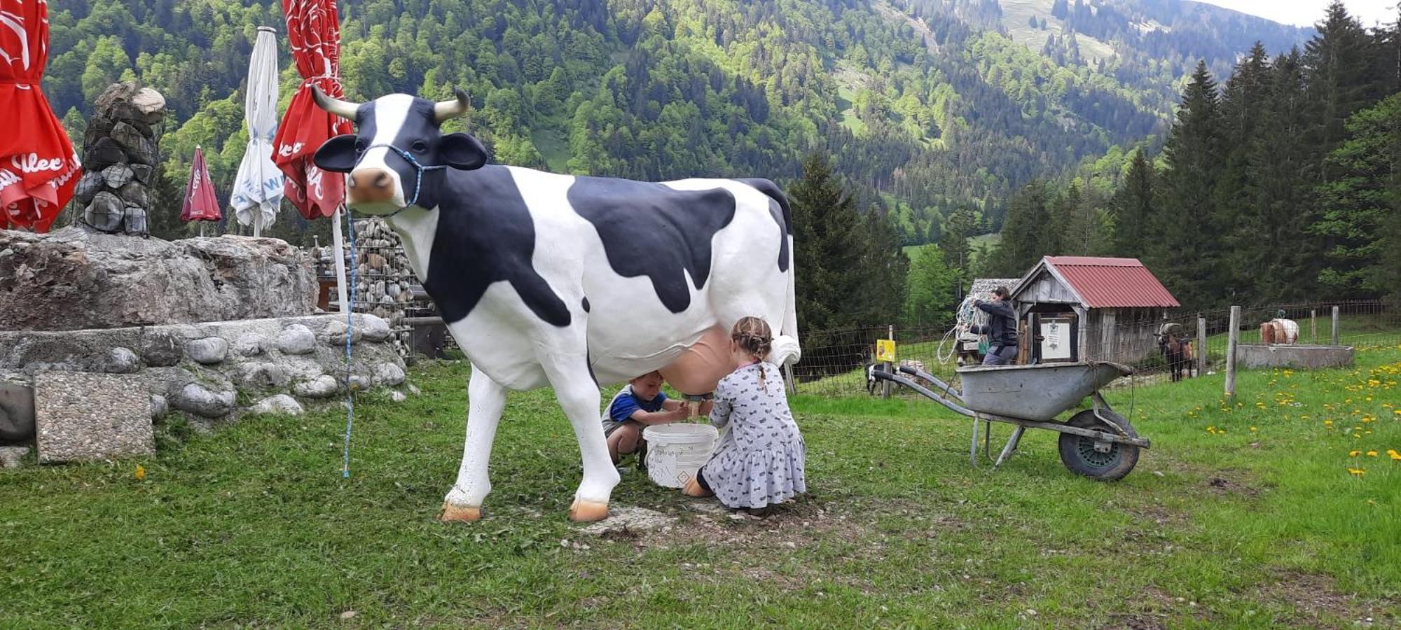 Jausenstation Neuschwand Villa Хитизау Екстериор снимка