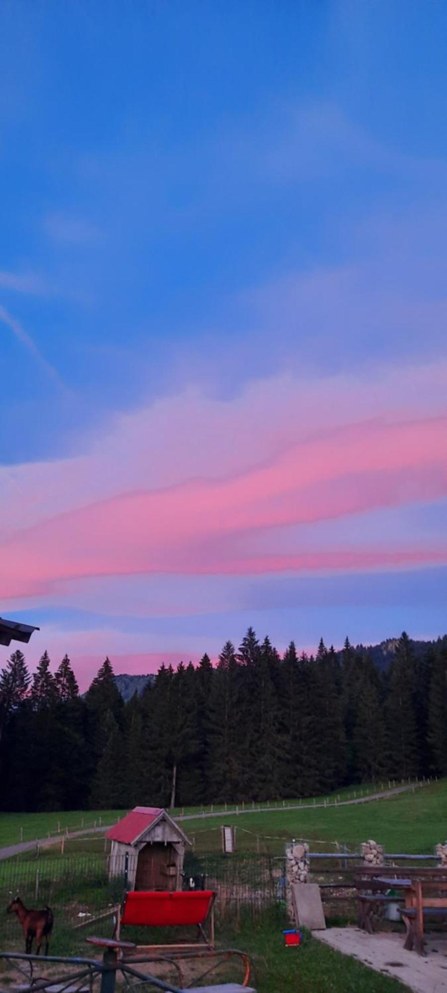 Jausenstation Neuschwand Villa Хитизау Екстериор снимка