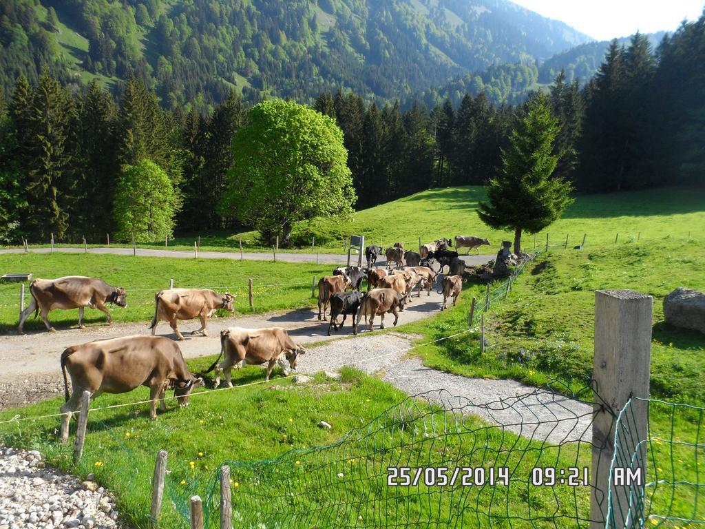 Jausenstation Neuschwand Villa Хитизау Екстериор снимка