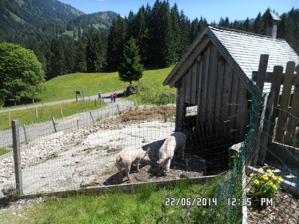 Jausenstation Neuschwand Villa Хитизау Екстериор снимка