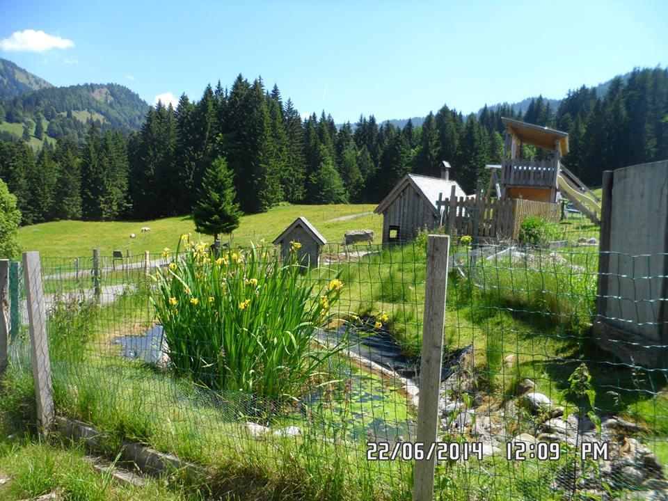 Jausenstation Neuschwand Villa Хитизау Екстериор снимка