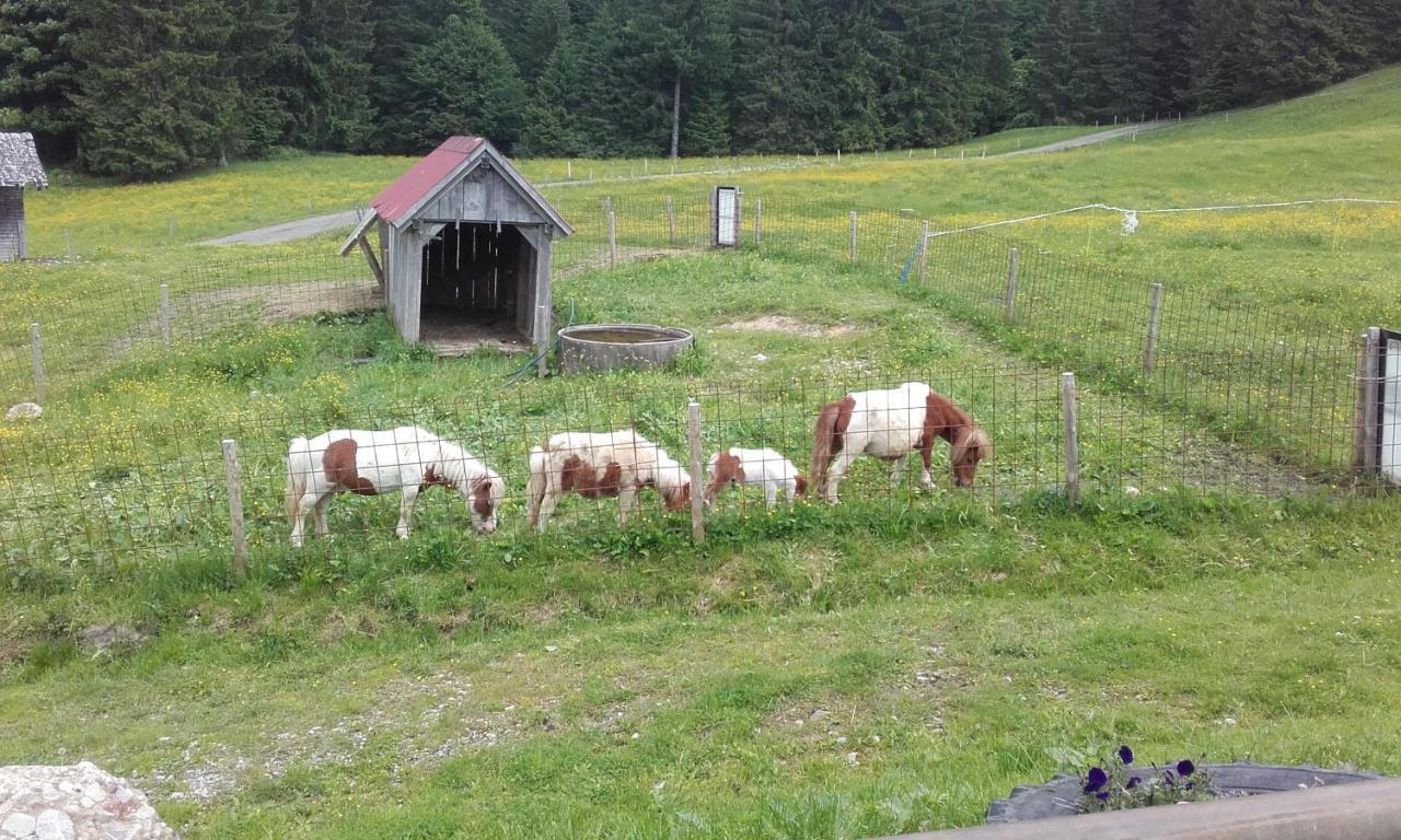 Jausenstation Neuschwand Villa Хитизау Екстериор снимка